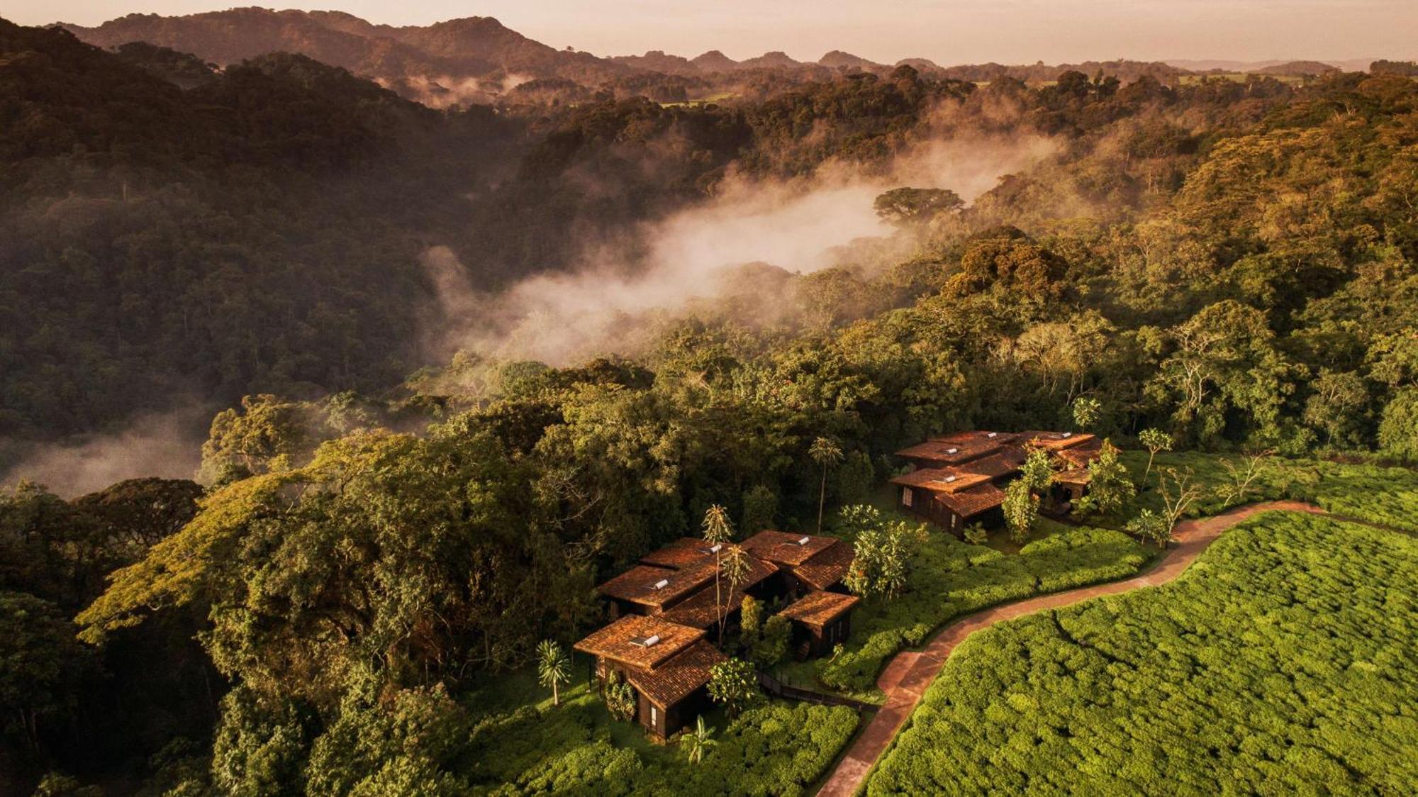 Villa One&Only Nyungwe House Rwumba Exterior foto